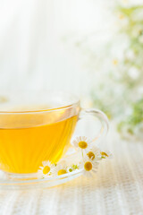cup of herbal tea with chamomile flowers	