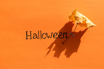 Halloween idea. The inscription Halloween on an orange background next to the shadow from an oak leaf in the form of a ghost with eyes. Festive background.