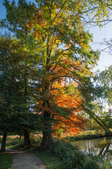 Reflets rouges et dorés d'automne sur l'eau du Lac