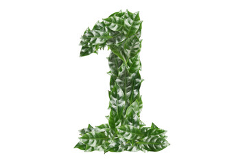 Number 1 made of fresh green leaves on white background