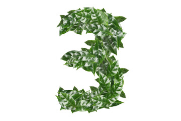 Number 3 made of fresh green leaves on white background