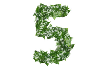 Number 5 made of fresh green leaves on white background