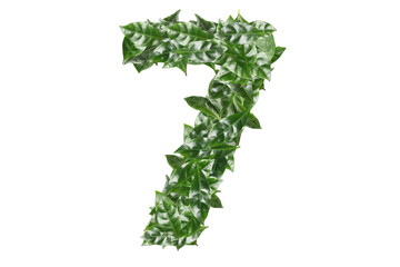 Number 7 made of fresh green leaves on white background