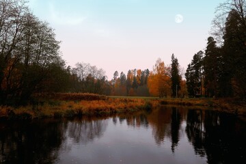 reflection of trees in the water