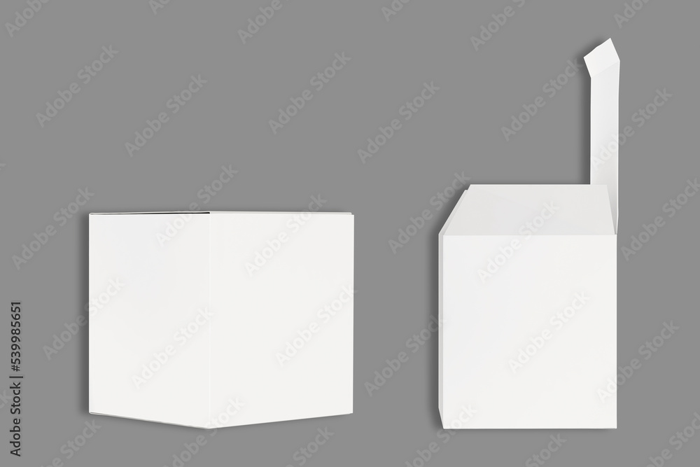 Poster empty blank white paper box open and closed mockup isolated on a dark background. 3d rendering.