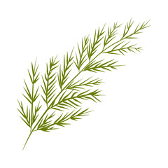 flower on white background Elements are isolated on a white background. Design for printing on cards, invitations