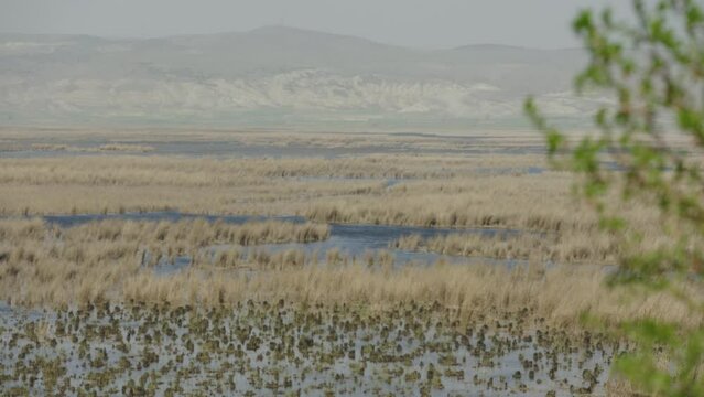 reeds, lake and mountains in its background, Karamik Lake, Afyonkarahisar, Turkey