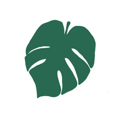 Monstera Leaf Illustration