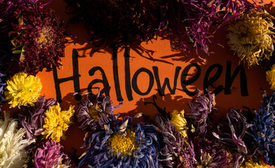 The inscription halloween surrounded by withered, dry flowers. Gloomy background. Festive background.