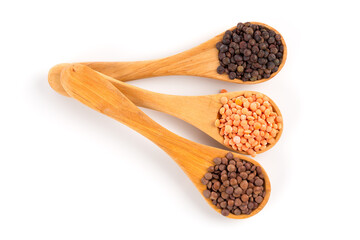 lentils in spoon isolated