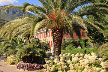 Subtropisches Juwel am Comer See; Uferpromenade in Menaggio