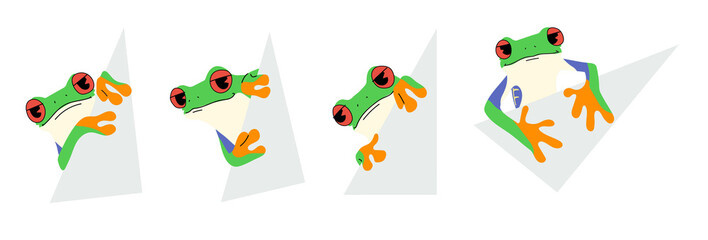 Fototapeta premium red-eyed tree frog cute and paper