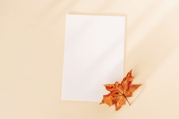 Invitation card mockup with autumn maple tree leaves on beige pastel background with shadow. Template blank of white paper mock up for branding and advertising. Top view, flat lay, copy space.