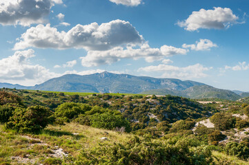 Fototapeta na wymiar Haut Languedoc countryside in spring, in Hérault, Occitanie, France