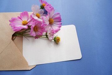 Beautiful autumnal flowers composition. Pink and white cosmos flowers with blank card and craft paper envelope on blue background. Flat lay, top view, copy space.