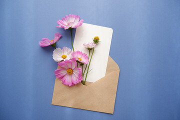 Beautiful autumnal flowers composition. Pink and white cosmos flowers with blank card and craft paper envelope on blue background. Flat lay, top view, copy space.