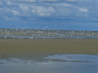 Mont-Saint-Michel (Manche)