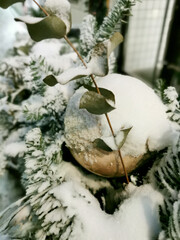 Fir branch and Christmas ball in the snow.