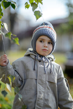 A little boy of 3 years old in the park under the branches of a tree