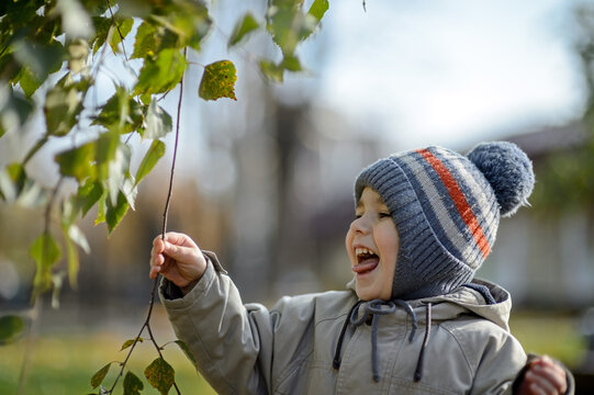 A little boy of 3 years old laughs in the park under the branches of a tree