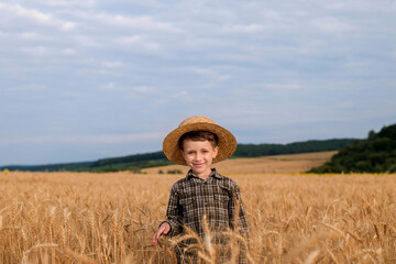 A smiling little farmer boy in a plaid shirt and straw hat poses for a photo in a wheat field. Heir of farmers