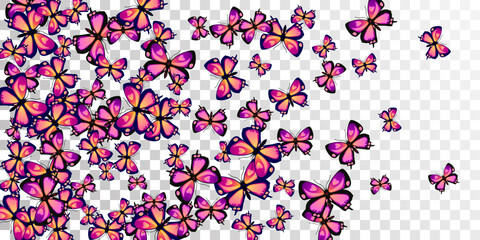 Magic purple butterflies abstract vector wallpaper. Spring pretty moths. Wild butterflies abstract children illustration. Gentle wings insects patten. Tropical creatures.