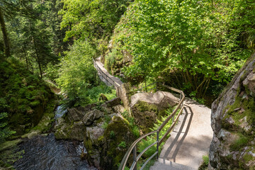 Wanderweg bergab an den Allerheiligen Wasserfällen bei Oppenau im Schwarzwald, Deutschland © Robert Schneider