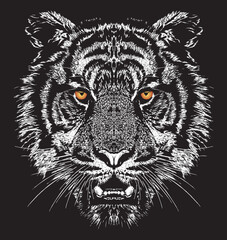 Tiger head Vector illustration design for t-shirt