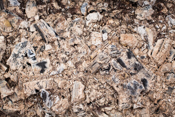 Burnt wooden charcoal background