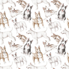 Bull terrier seamless pattern