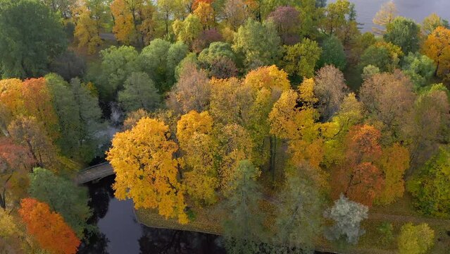 Flight in a park with a pond and a river in autumn with trees covered with yellow leaves of different shades