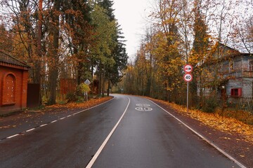 Fototapeta premium autumn in the city