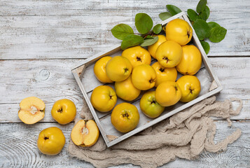 fruits of ripe yellow quince on a light wooden table