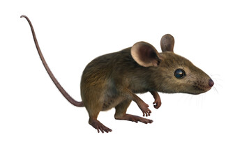 Brown mouse 3D illustration isolated on transparent background.