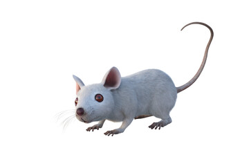 Small white mouse 3D illustration isolated on transparent background.