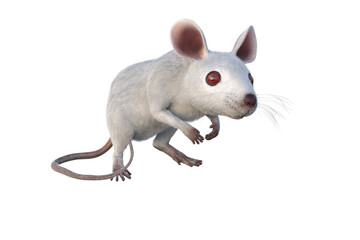 Small white mouse 3D illustration isolated on transparent background.