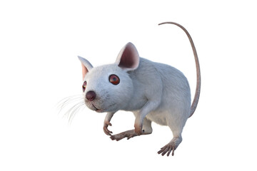 Small white mouse 3D illustration isolated on transparent background.