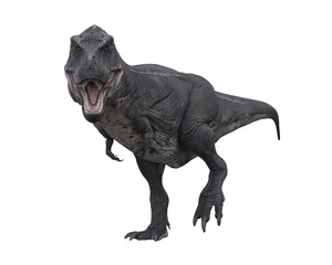 Tyrannosaurus Rex dinosuar side view with mouth wide open in aggressive stance. 3D illustration isolated on transparent background.