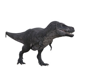 Tyrannosaurus Rex standing, seen from side view. 3D illustration isolated on transparent background.