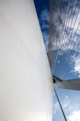 Erasmus Bridge in Rotterdam, the Netherlands
