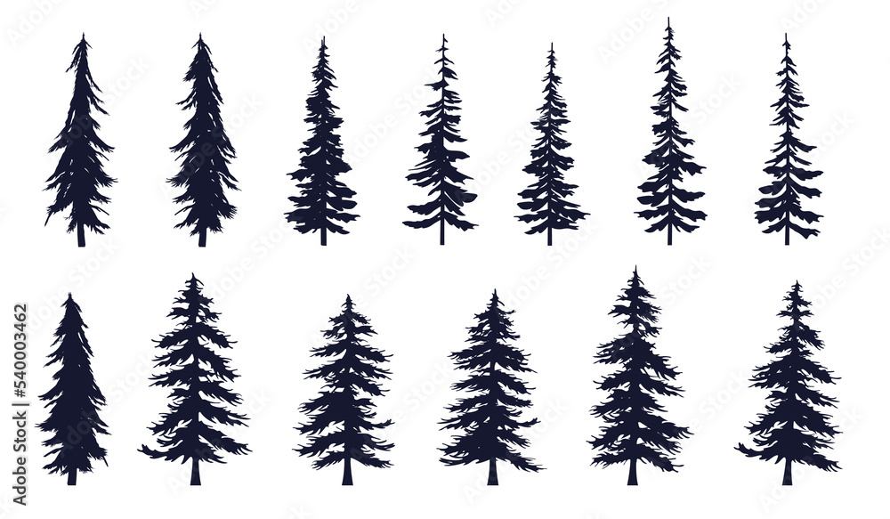 Poster pine and coniferous tree collection - vector illustration collection of various silhouettes of fores
