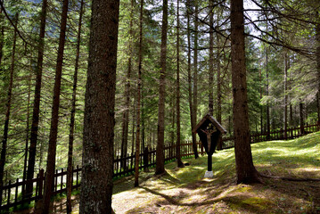 The wood of the crucifix