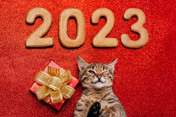 a kitten among the figures of the new year 2023 with a gift box