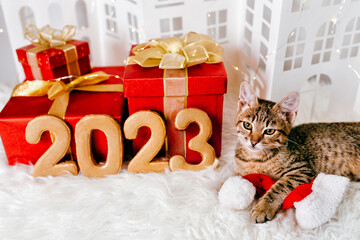 The cat lies and holds Santa hat next to the numbers of the upcoming new year 2023 and gift boxes