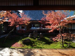 京都　建仁寺庭園の紅葉