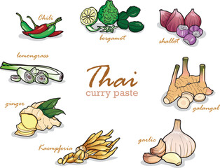 Picture of ingredients of Thai curry paste, herbs, healthy food.