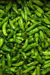 Agriculture Food Photography of a Pile of Fresh Raw Green Shishito Peppers