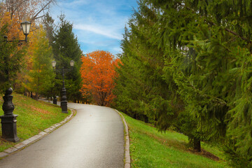 Beautiful landscape with a path in the autumn forest. An empty park without people. Colorful bright tree leaves. Coniferous and deciduous trees. The way through the autumn forest