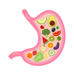 Healthy stomach with fruits and vegetables in flat design on white background.