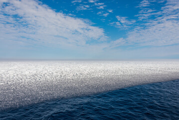 Arctic landscape - sea surface with ice floe